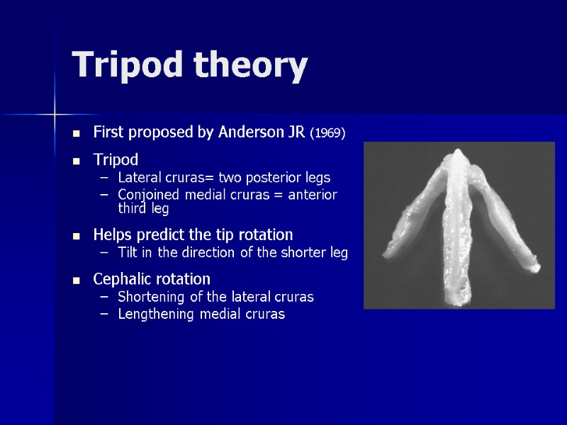 Tripod theory First proposed by Anderson JR (1969)  Tripod Lateral cruras= two posterior